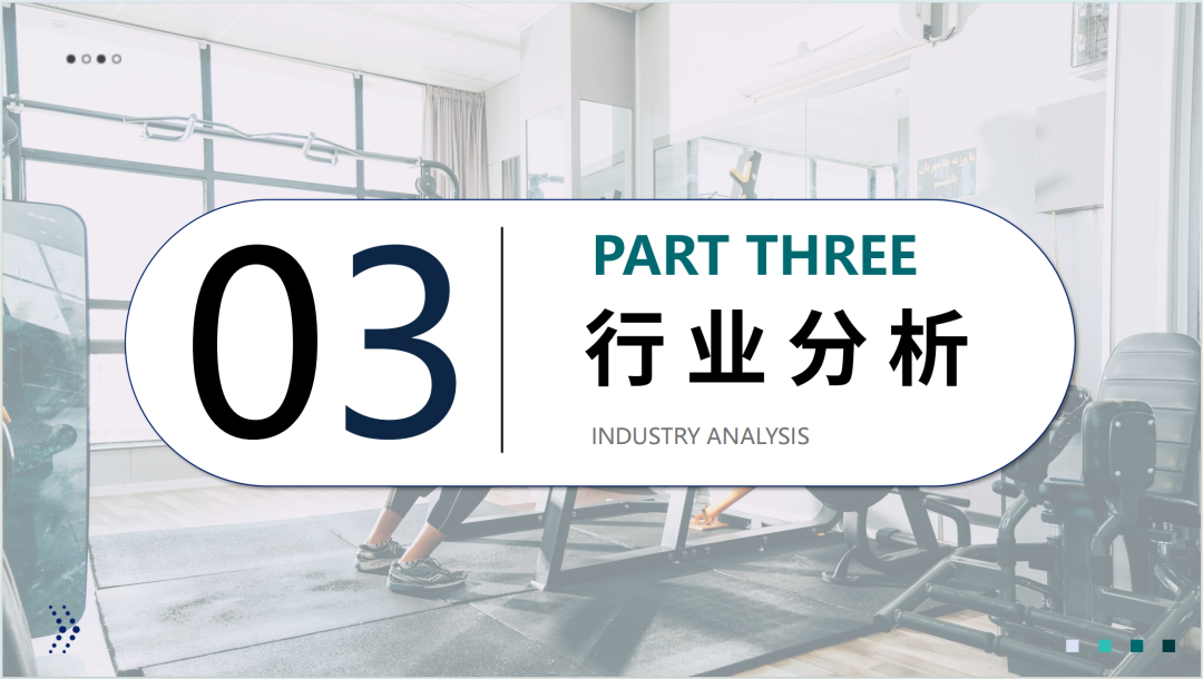 2025全球健身器材市场洞察报告(第33期) 20 2025全球健身器材市场洞察报告(第33期)