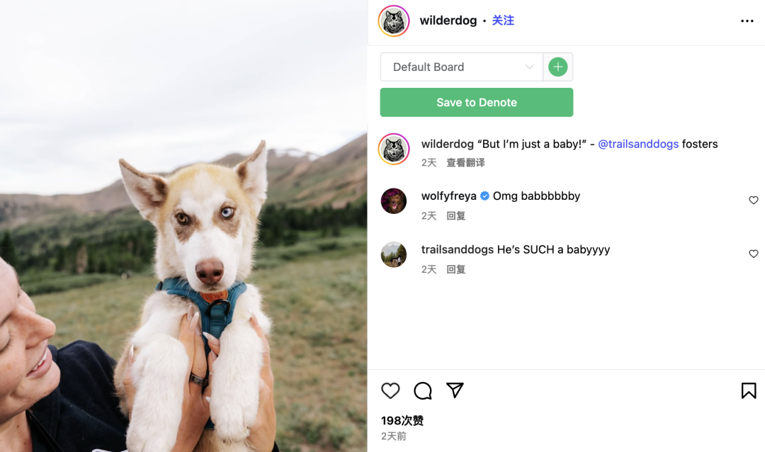 一根狗绳北美卖爆:Wilderdog如何让养狗人为户外豪掷千金? 7 一根狗绳北美卖爆:Wilderdog如何让养狗人为户外豪掷千金?