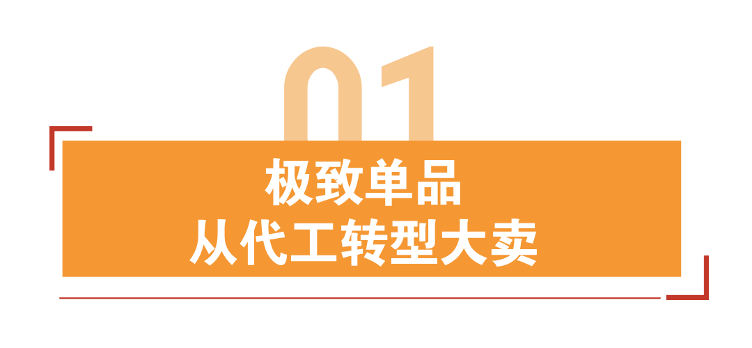 年营收超20亿,又一大卖崛起!国产智能监控畅销120+国 | 品牌案例 2 年营收超20亿,又一大卖崛起!国产智能监控畅销120+国 | 品牌案例