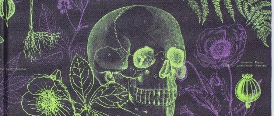 2人小作坊逆袭成明星卖家!看Cognitive Surplus如何把有毒植物印成爆款