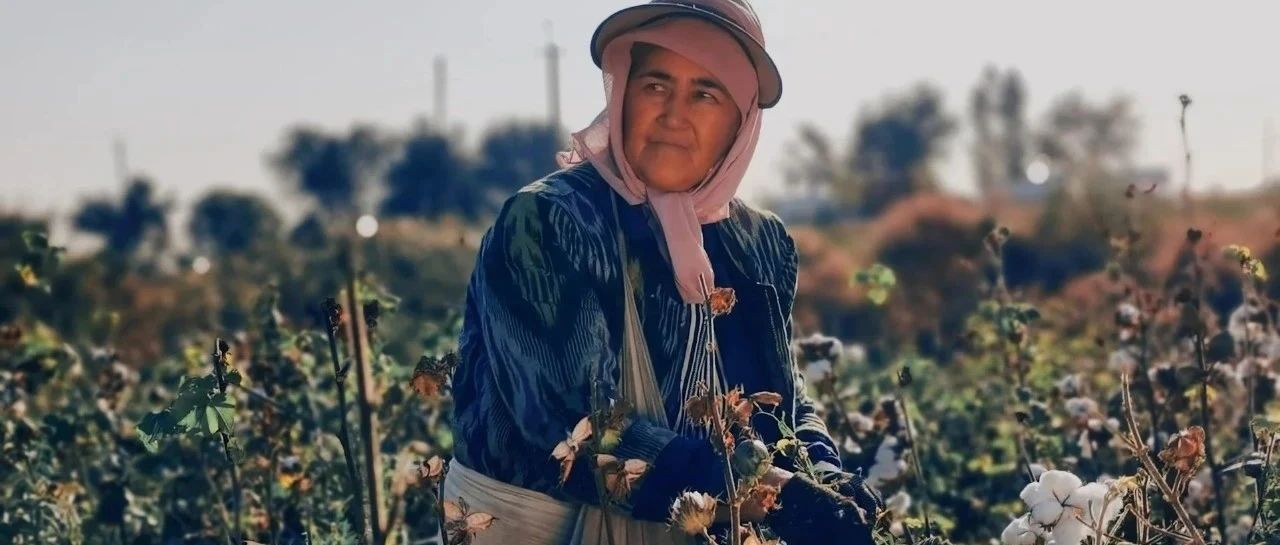 突发！印度财政部：即日起至9月30日暂停征收棉花进口关税