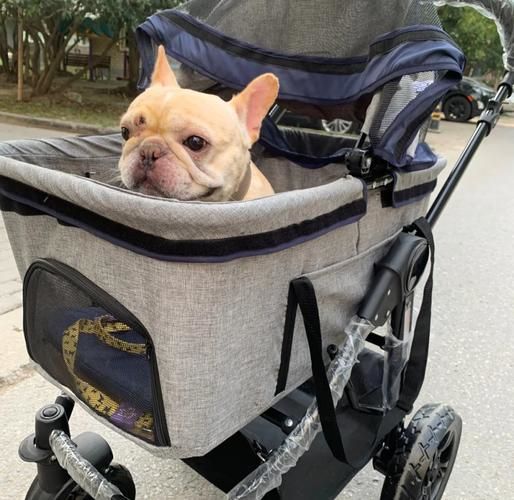 欧洲宠物市场规模破万亿,中国卖家如何突入其中|跨境电商 3 欧洲宠物市场规模破万亿,中国卖家如何突入其中|跨境电商