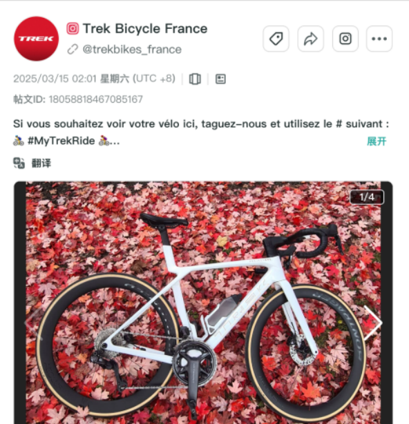 E-Bike出海洗牌:还能靠什么打动欧洲消费者 9 E-Bike出海洗牌:还能靠什么打动欧洲消费者