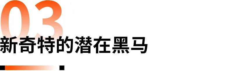 2025黑五网一前瞻：有哪些潜力爆品？ 6