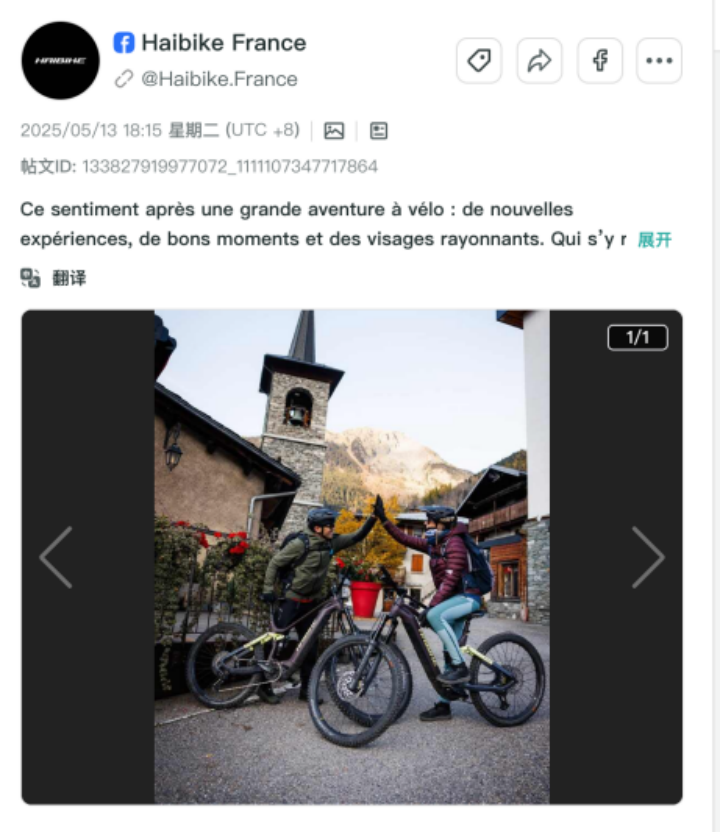 E-Bike出海洗牌:还能靠什么打动欧洲消费者 7 E-Bike出海洗牌:还能靠什么打动欧洲消费者