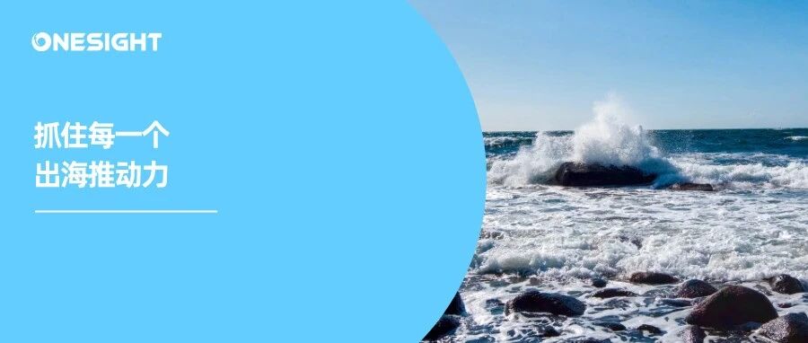 从“推进”到“扩大”：高水平开放给中企走出去带来哪些利好？