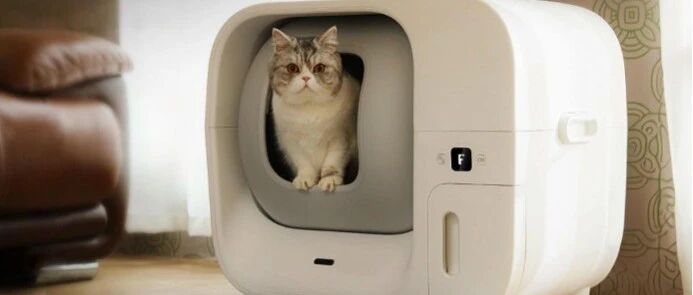 获百万美元融资，一度售罄，国产智能猫砂盆风靡海外 | 品牌案例