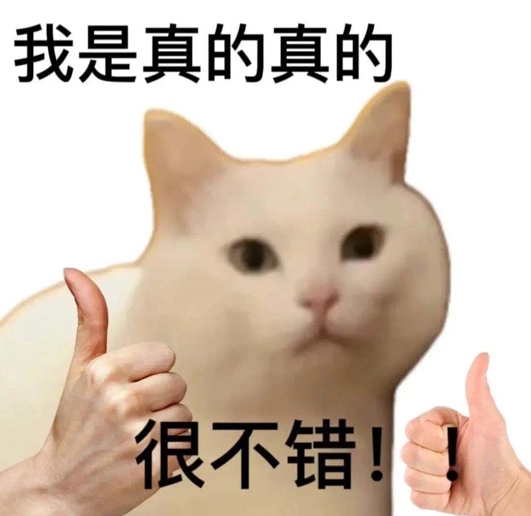 跨境电商VS品牌出海,哪个才有光明的未来|跨境电商 5 跨境电商VS品牌出海,哪个才有光明的未来|跨境电商