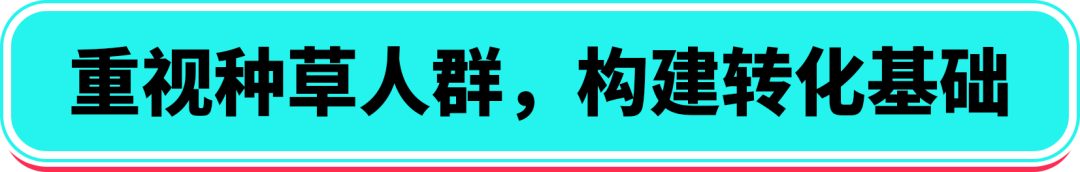 2025东南亚双十一怎么玩?商家必看实战手册助你抢占市场先机 16 2025东南亚双十一怎么玩?商家必看实战手册助你抢占市场先机