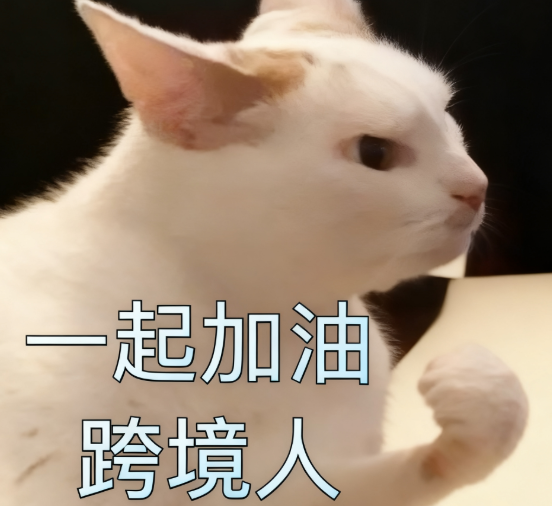 在国外把花洒当化妆品卖,2年赚了2个亿?|跨境电商 4 在国外把花洒当化妆品卖,2年赚了2个亿?|跨境电商