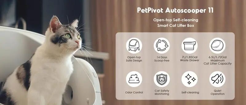 搞懂年轻人，就能卖爆全球！深圳品牌的 TikTok 奇袭战 5