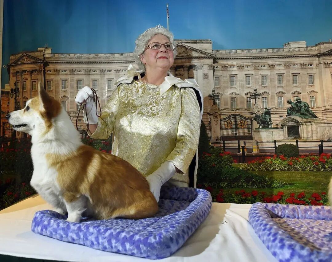 出海英国:仅次于中美的市场,高额消费与性价比并存|欧洲跨境电商 3 出海英国:仅次于中美的市场,高额消费与性价比并存|欧洲跨境电商