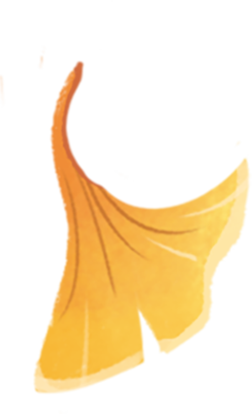 3个维度解密:一双 3个维度解密:一双"变形"高跟鞋如何从0做到900万美金