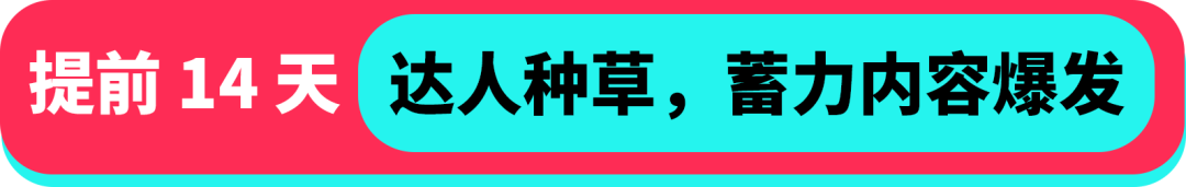 黑五备战全攻略!从节奏规划到执行落地,手把手教你实现销量大爆发 30 黑五备战全攻略!从节奏规划到执行落地,手把手教你实现销量大爆发