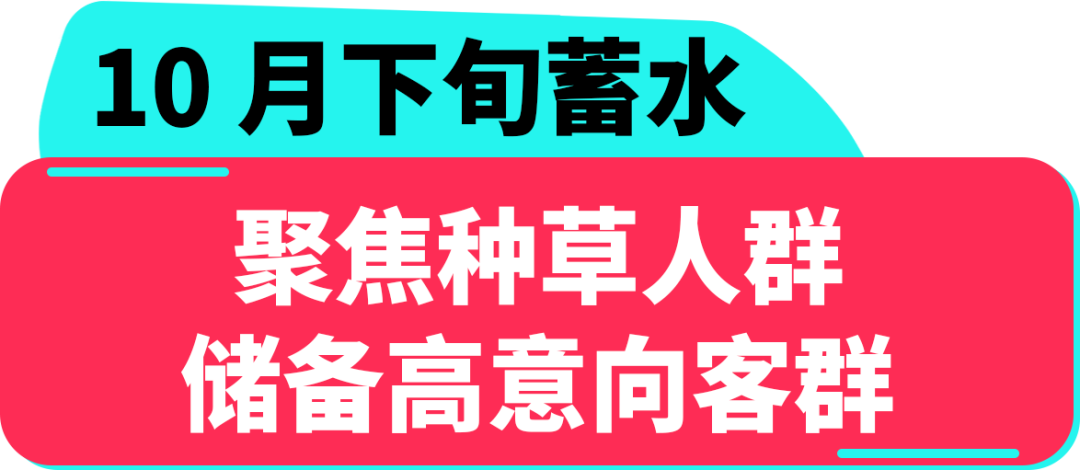 2025东南亚双十一怎么玩?商家必看实战手册助你抢占市场先机 15 2025东南亚双十一怎么玩?商家必看实战手册助你抢占市场先机