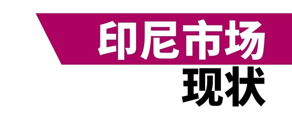 中国品牌为何抢着出海做Halal认证? 5 中国品牌为何抢着出海做Halal认证?