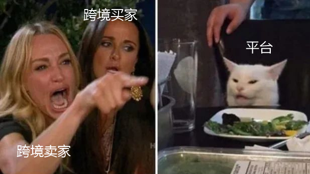 跨境电商VS品牌出海，哪个才有光明的未来｜跨境电商 3