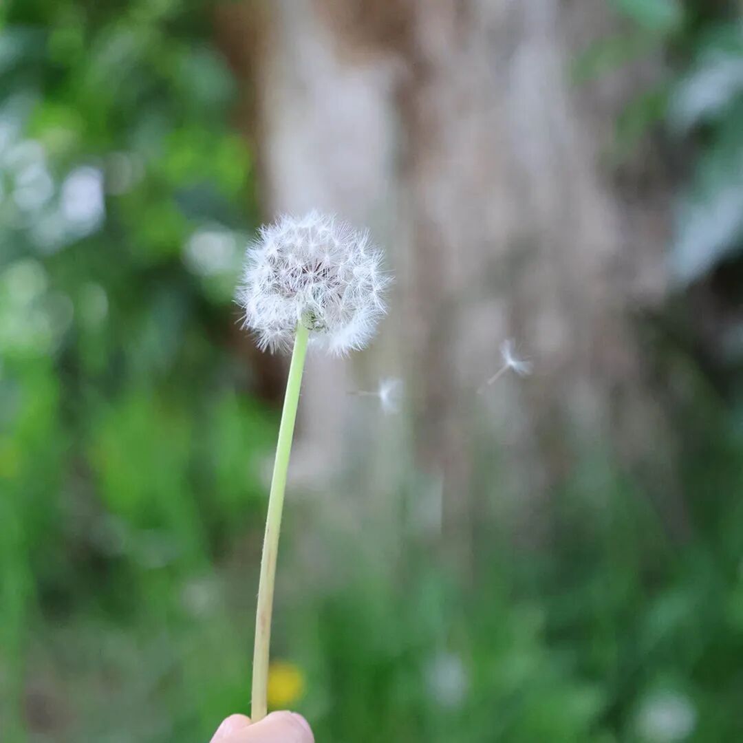 入局欧洲站怕踩雷？收藏这篇Q&amp;A，帮您避开坑点｜跨境电商