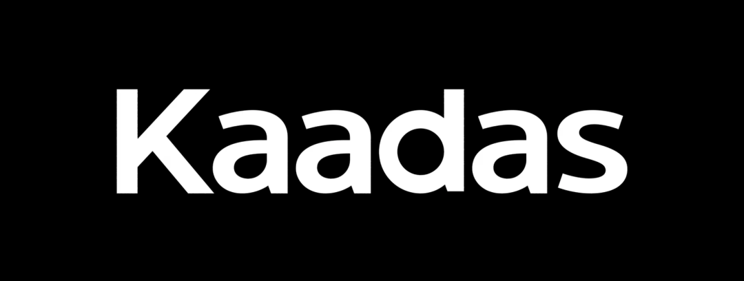 海外红人营销|父子出海创业,把“智能门锁”卖到全球第一! 2 海外红人营销|父子出海创业,把“智能门锁”卖到全球第一!