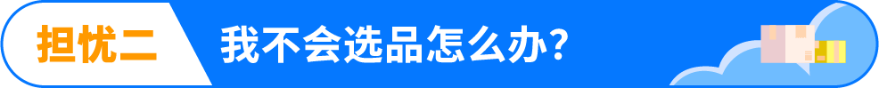 亚马逊做铺货还是精品？