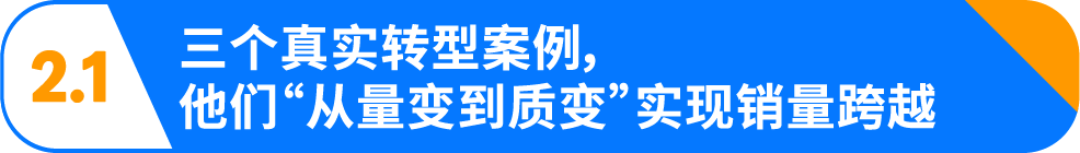 亚马逊做铺货还是精品？