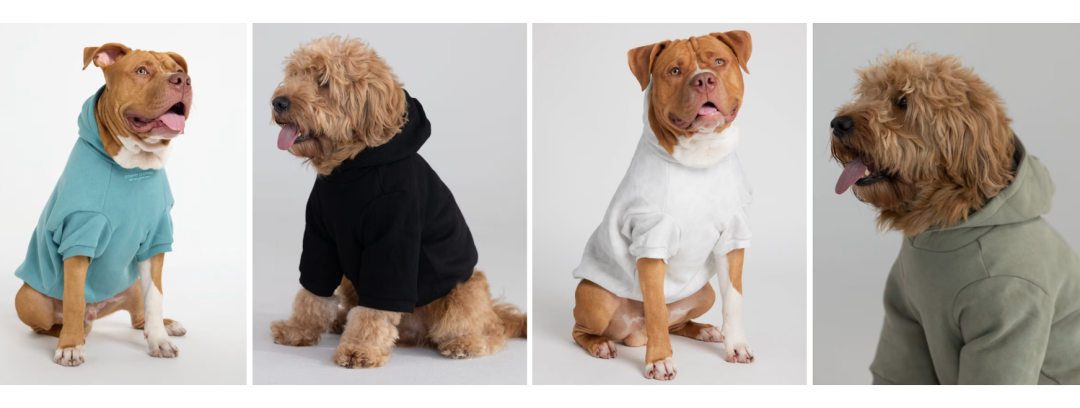 海外红人营销|创立三年狂赚5亿!它靠网红把卫衣卖到总销六十万! 7 海外红人营销|创立三年狂赚5亿!它靠网红把卫衣卖到总销六十万!