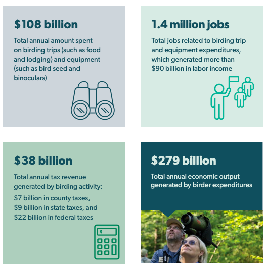 闲来观鸟、无事烧烤：巨能赚的冷门出海品牌丨2025Q3 BrandOS榜单