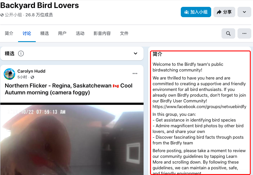 闲来观鸟、无事烧烤：巨能赚的冷门出海品牌丨2025Q3 BrandOS榜单