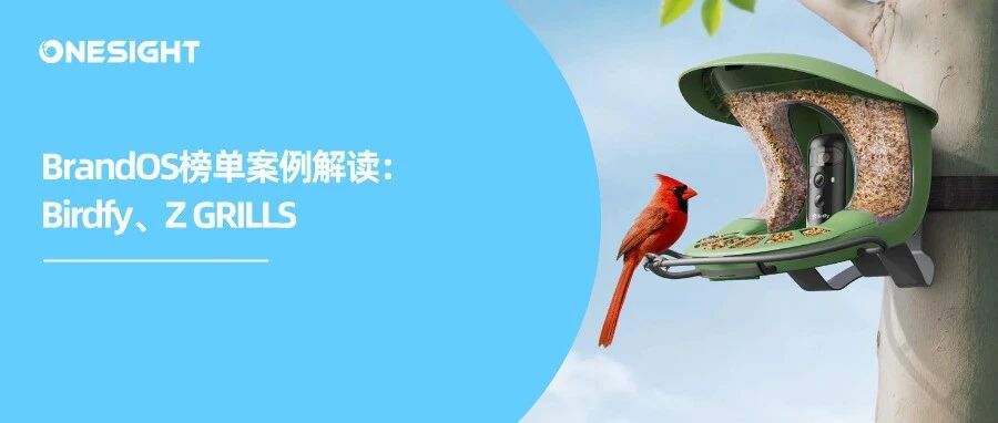 闲来观鸟、无事烧烤：巨能赚的冷门出海品牌丨2025Q3 BrandOS榜单