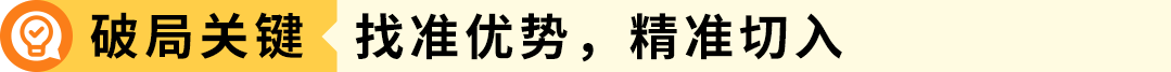 从3万到30万美元!这家工厂品牌如何突围4大困境,实现在亚马逊黑五销量暴涨9倍! 6 从3万到30万美元!这家工厂品牌如何突围4大困境,实现在亚马逊黑五销量暴涨9倍!