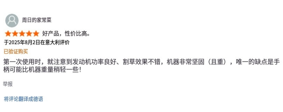 从代工到吃下本土巨头,宁波大卖占领欧洲家庭草坪 |跨境电商 6 从代工到吃下本土巨头,宁波大卖占领欧洲家庭草坪 |跨境电商