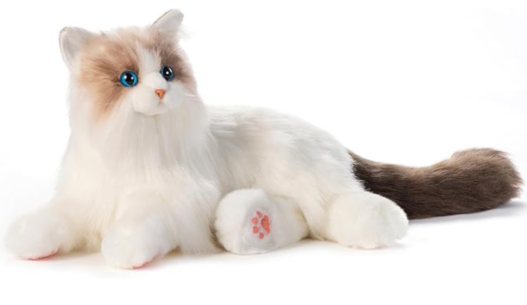 100美金的毛绒玩具凭什么爆火？清华理工男1年登顶亚马逊高客单价赛道的秘诀