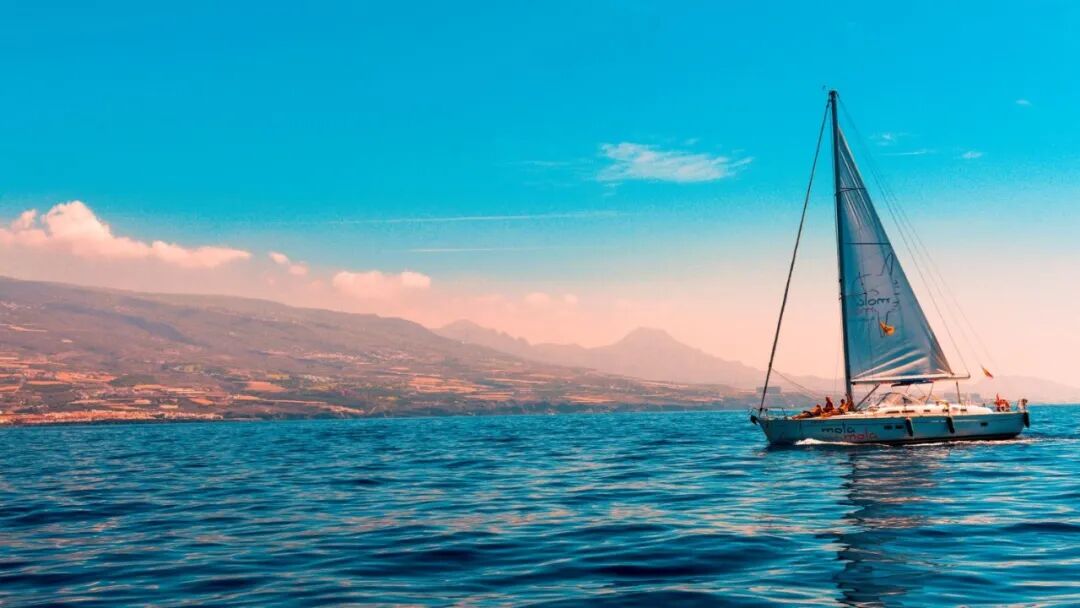 5年,小众赛道不出圈就出局 2 5年,小众赛道不出圈就出局