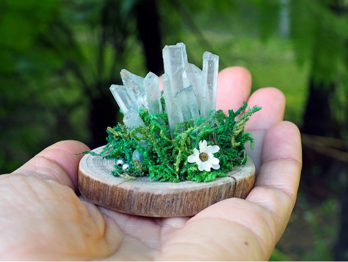 狂销10万+单,爆卖1500万!小众水晶盆栽海外赚麻了 | 行业热点