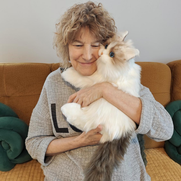 100美金的毛绒玩具凭什么爆火？清华理工男1年登顶亚马逊高客单价赛道的秘诀