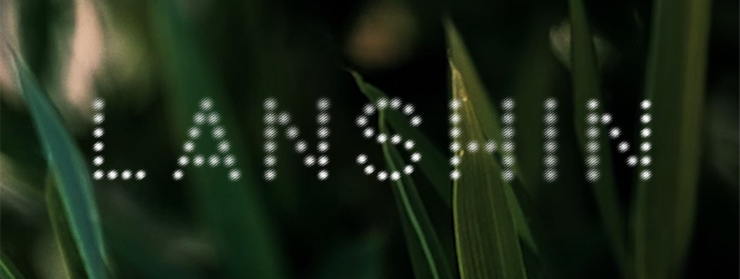 海外红人营销|估值超2亿！美女老板靠百元刮痧板让欧美人疯狂！