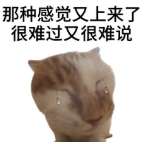 提前2年！欧盟取消150欧元免税门槛！