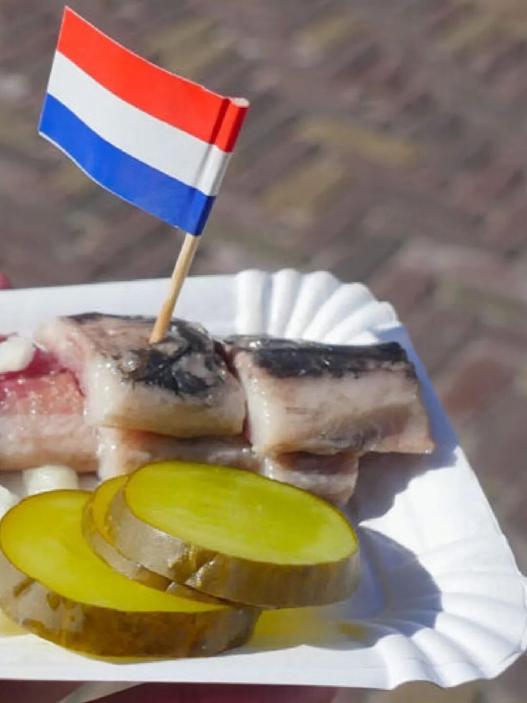 高网购渗透率、强消费力的荷兰电商市场简读|欧洲跨境电商 4 高网购渗透率、强消费力的荷兰电商市场简读|欧洲跨境电商