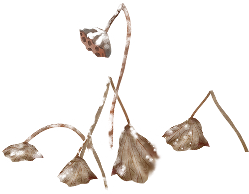 墨西哥加税法案敲定!波及中国,转口北美渠道遭 “拦截” 2 墨西哥加税法案敲定!波及中国,转口北美渠道遭 “拦截”