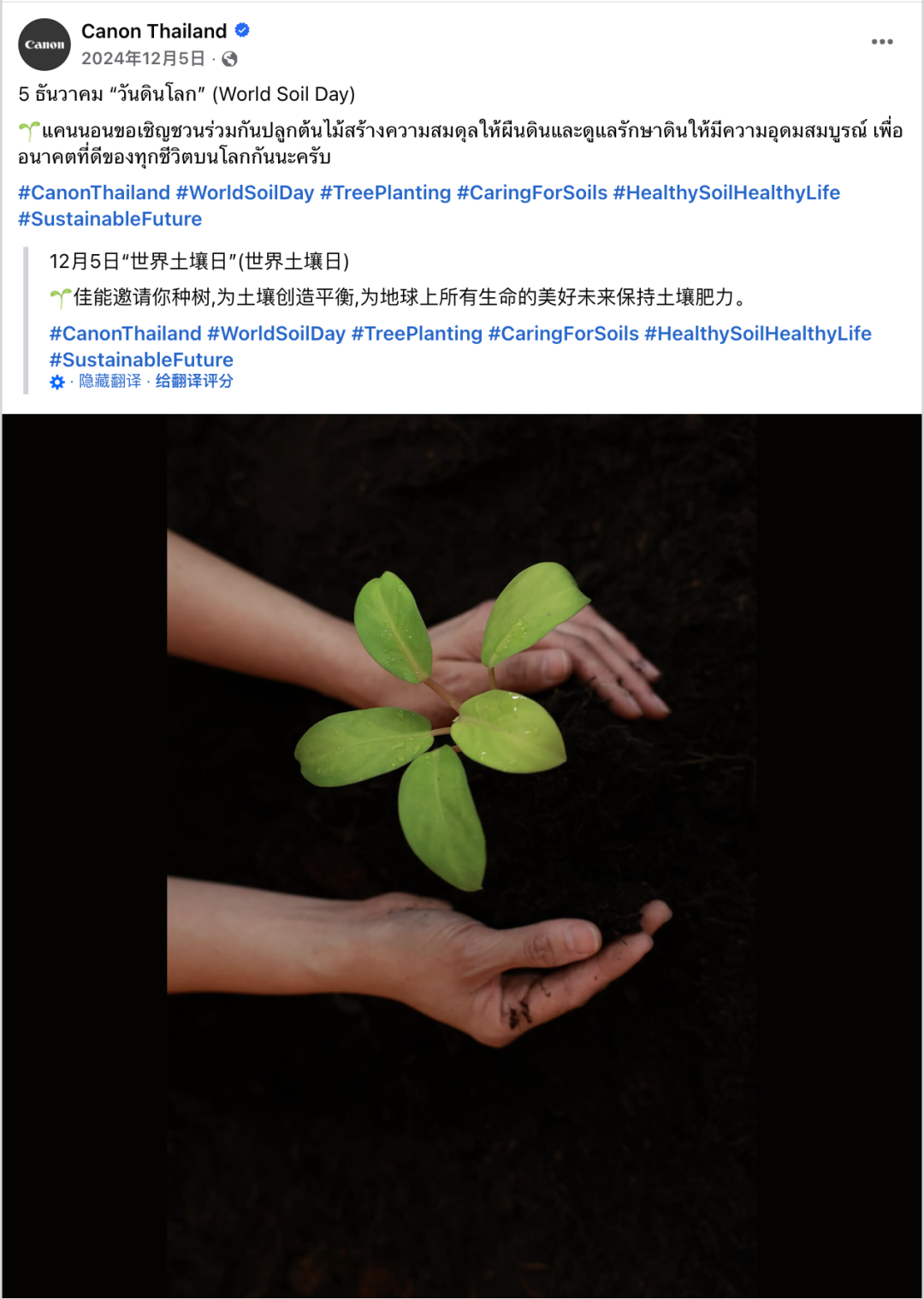 12月海外营销日历：圣诞节，跨年夜，国际山岳日，世界土壤日，国际残疾人日...