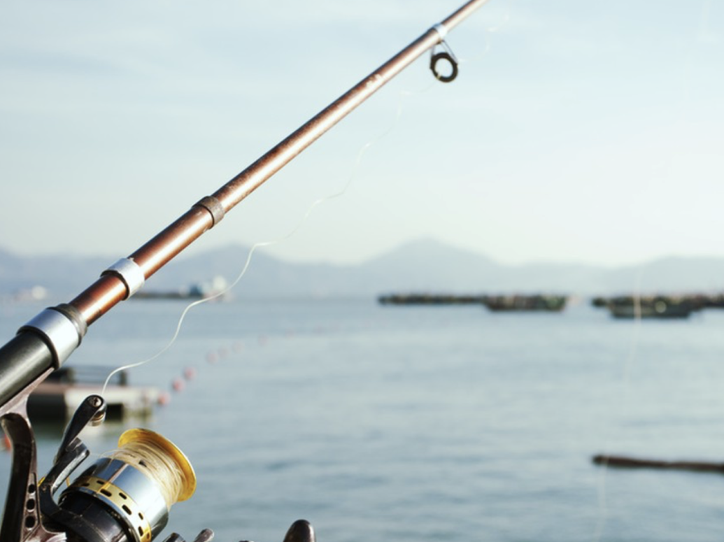 首发哪个市场？东南亚出海首选市场指南