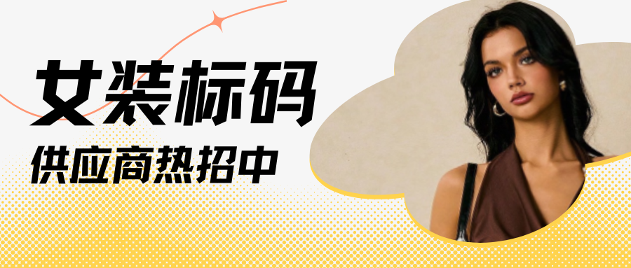 各地偏好大不同！女装出海注意：精准洞察才能大卖！