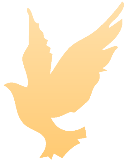 巨头环伺下狂赚5亿，这个新兴DTC服装品牌交出了不一样的答卷！