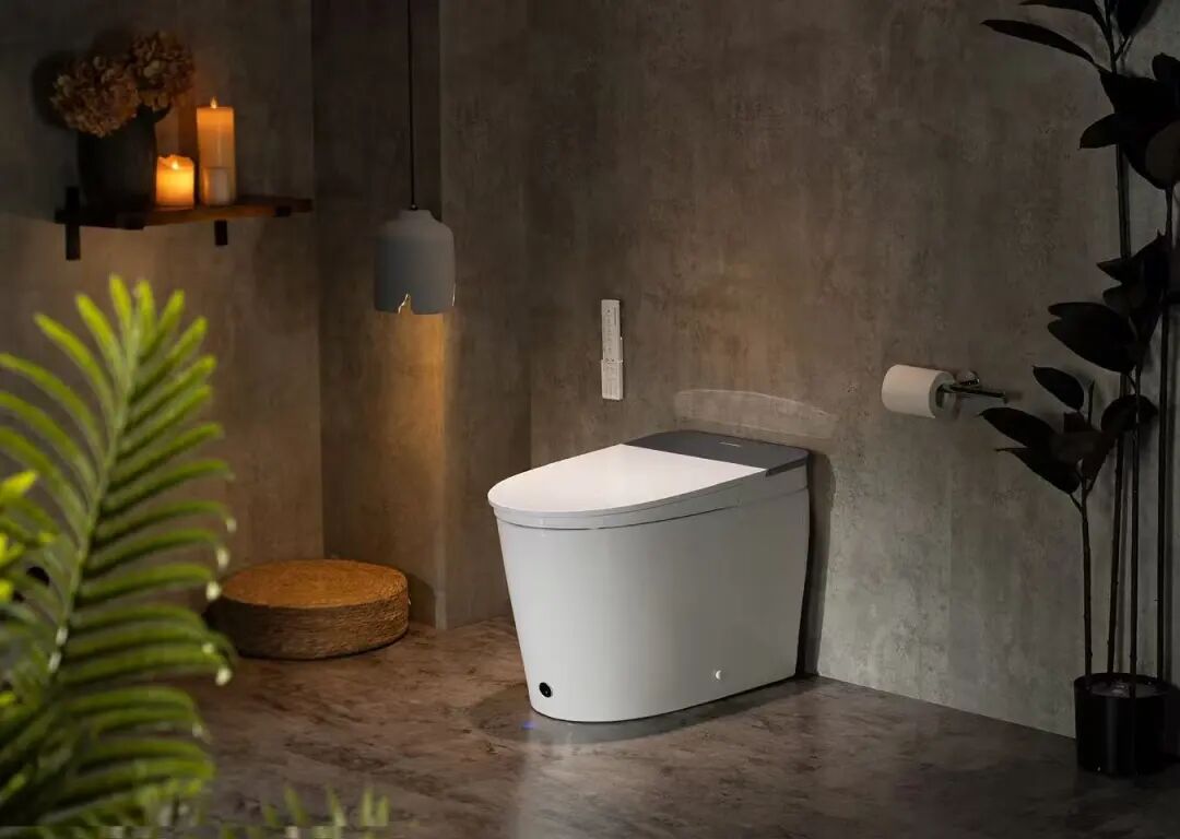 3人小团队创业年销破千万美元！中国智能马桶如何征服亚马逊北美站？