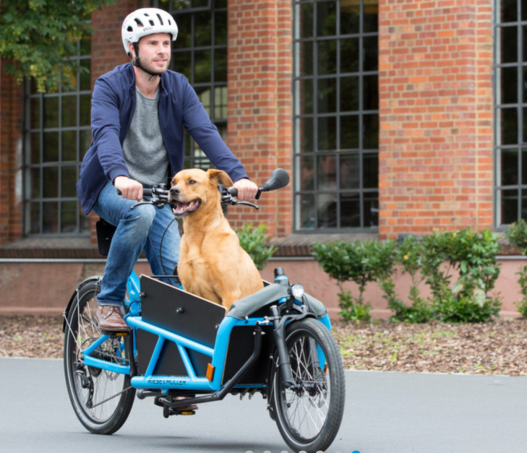 新能源风靡欧洲，中国卖家占据537亿美元市场大头｜跨境电商
