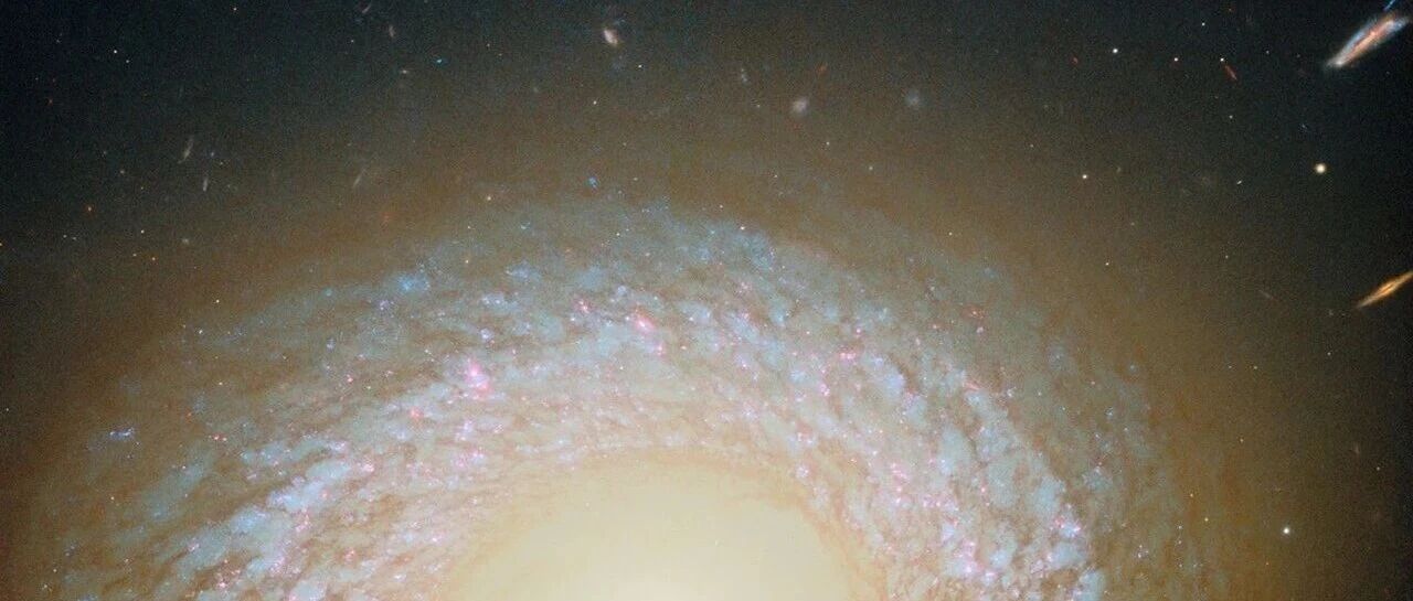 小预算玩转流量布局：独立站流量结构全解析