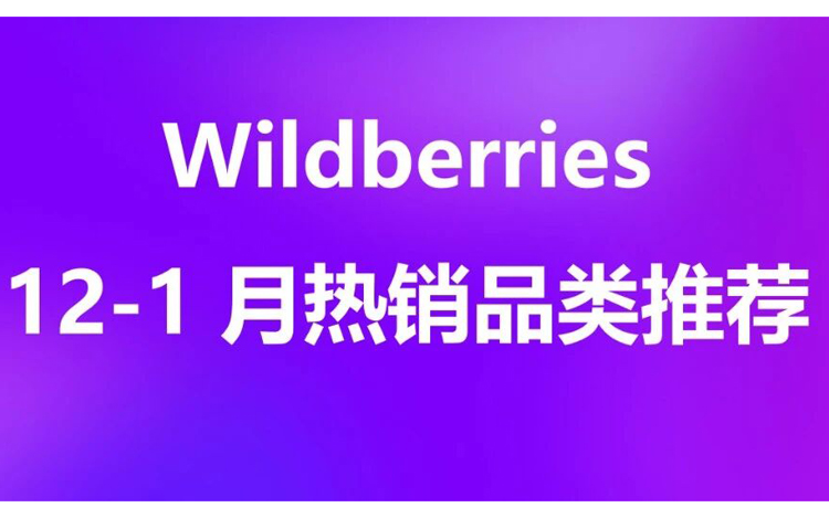 12-1月Wildberries热销品类推荐——新年节庆销售黄金期即将全面开启!