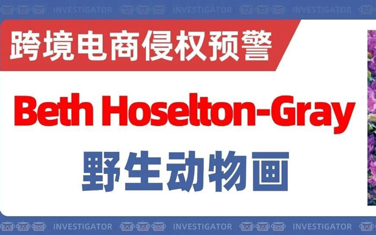 2025-cv-14670，已有33个被告！加拿大艺术家6个野生动物版权TRO！