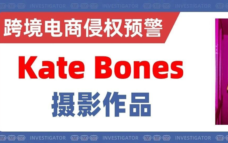 25-cv-15595，勿用！这两张摄影作品竟起诉了170家店铺！