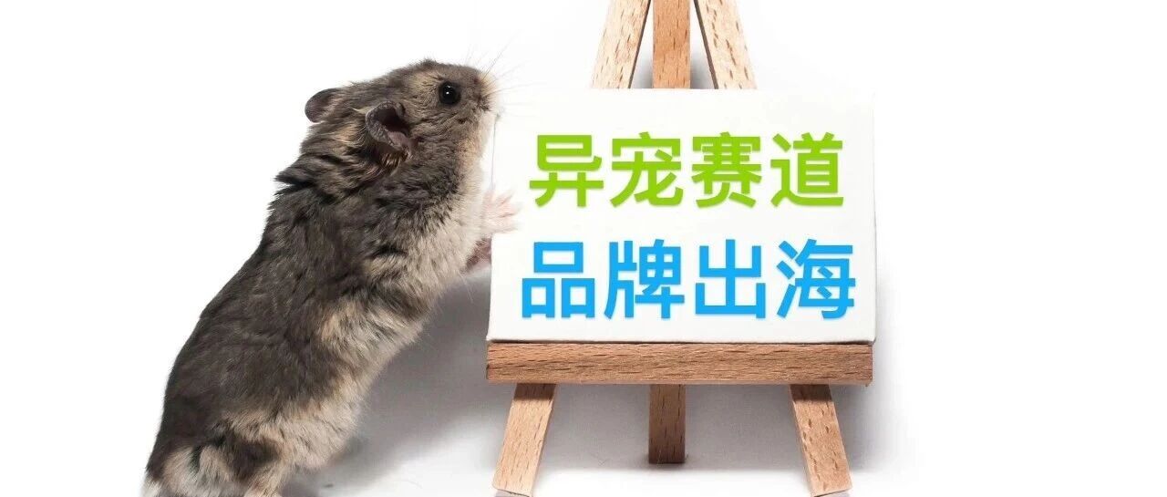 CPM低3倍？异宠出海的流量密码，萌宠品牌学不来！